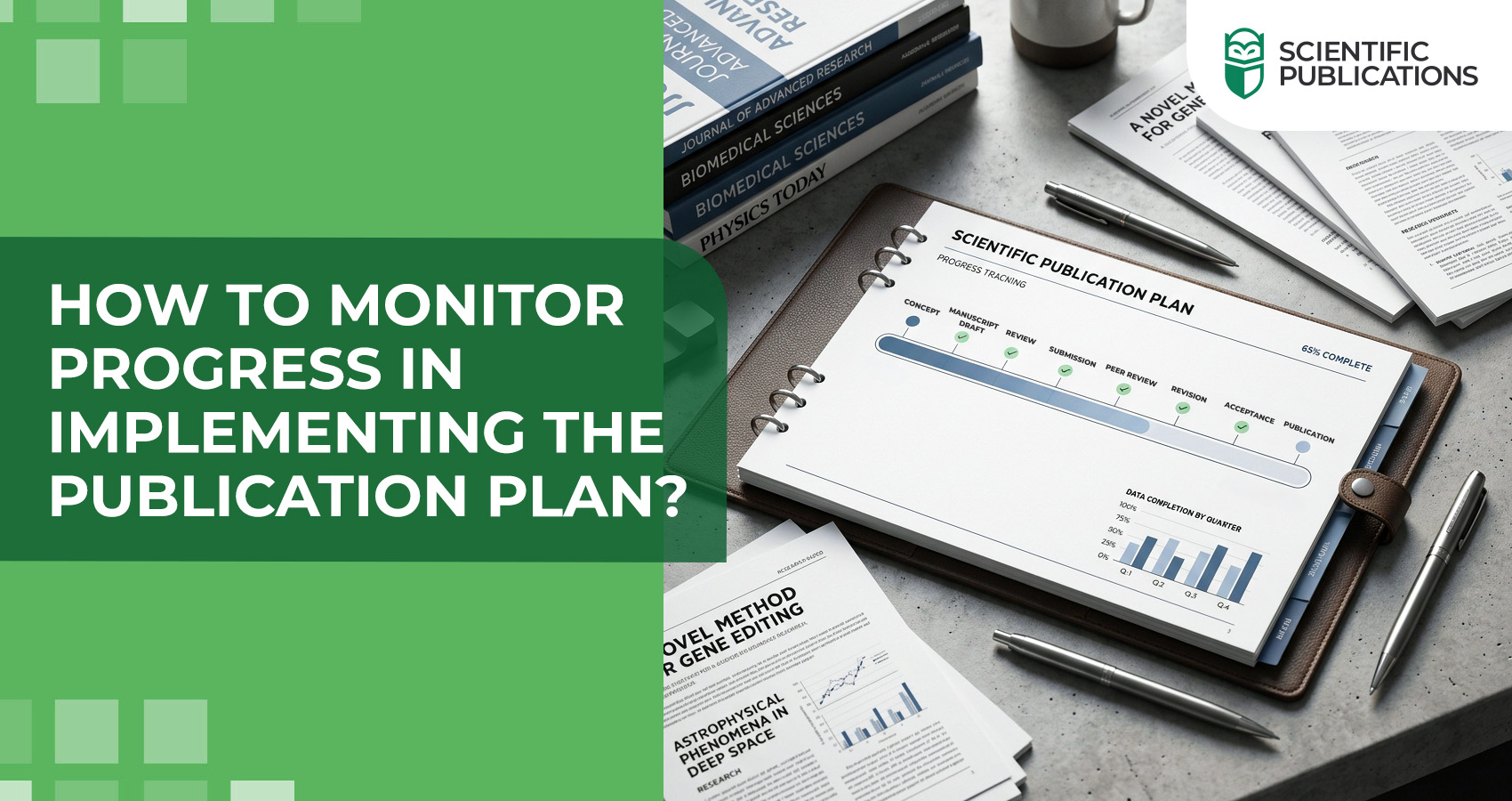 How to monitor progress in implementing the publication plan?