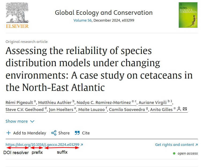 Из чего состоит DOI?