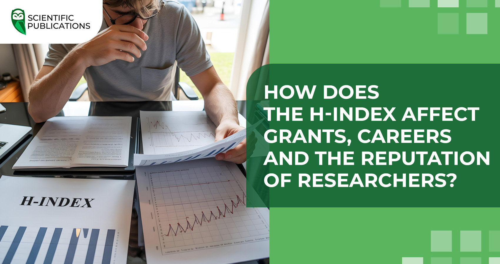 How does the h-index affect grants, careers and the reputation of researchers?